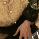 Profilbild für Xinyi X