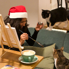 Profilbild für Sreeja R