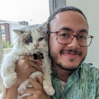 Avatar for Moutasem A