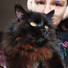 Profilbild für Amelie S