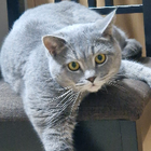 Profilbild für Claudia C