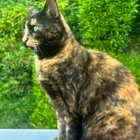 Profilbild für Dana R