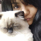 Profilbild für Farheen A
