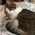 Profilbild für Camille C