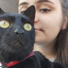 Avatar pour Morgane B