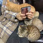 Profilbild für Min Z