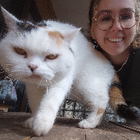 Profilbild für Cathleen D