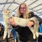 Avatar pour Lou-Ann p