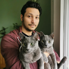 Profilbild für Sebastian H
