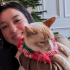 Avatar for Stephanie H