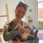 Profilbild für Kathi O