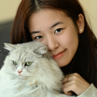 Profilbild für Mingyue T