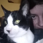 Profilbild für Antje B