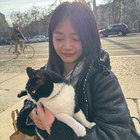 Profilbild für Zeyue P