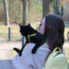 Profilbild für Rae P