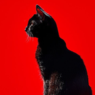 Profilbild für Gudrun W