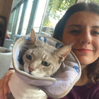 Profilbild für Özgecan E