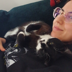 Profilbild für Dilara H