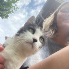 Profilbild für Veronika W