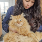 Profilbild für Qiqi M