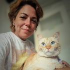 Profielfoto voor Diana N