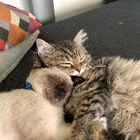 Profilbild für Sebastian A
