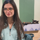 Profilbild für Ipek S