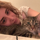Profilbild für Tannaz M