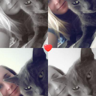 Avatar pour Carole V