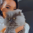 Avatar pour Catherine L