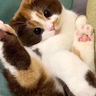 Profilbild für Veronica S