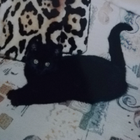 Profilbild für Martha P