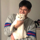 Profilbild für Shutao X