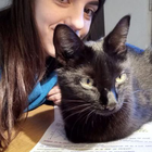 Profilbild für Camila G