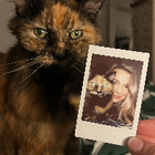 Avatar for Lucy T