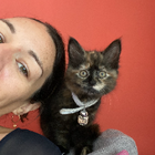 Avatar for Christine (Chrissy) S