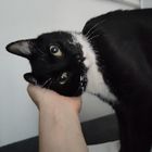 Profilbild für Christin G