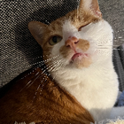 Profilbild für Beibei T