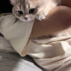 Profilbild für Yukun D
