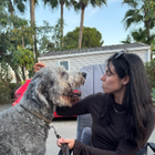 Profilbild für Iris K