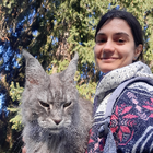 Profilbild für Motahareh M