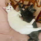 Profilbild für Thorsten E