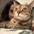 Avatar pour Célia M