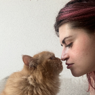 Profilbild für Anastasia P