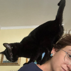 Avatar for Caterina C