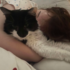 Avatar for Jessica D