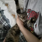 Profilbild für Xeniya C
