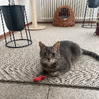 Profilbild für Michèle B