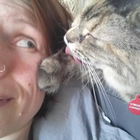 Profilbild für Franziska K