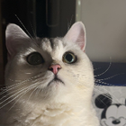 Profilbild für Anna L